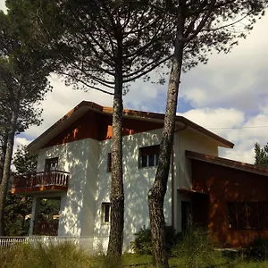 Il Giardino Di Leoca Nicolosi